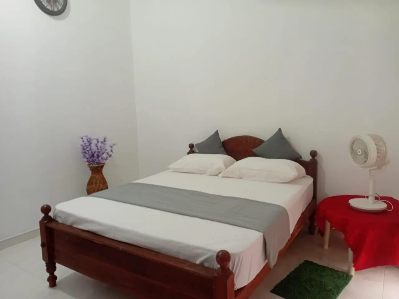 Ceylon Tuktuk Adventures Hotel Negombo